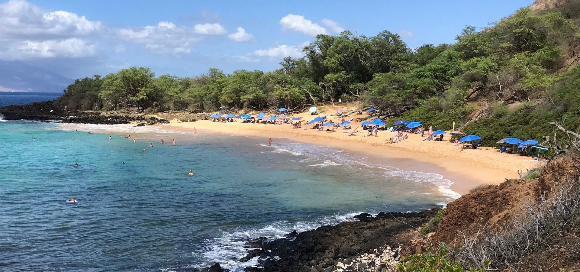 Little Beach needs friends